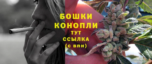 СК Аркадак