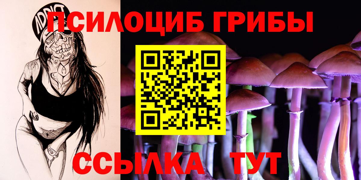 Псилоцибиновые грибы Psilocybine cubensis  Вход с VPN  Коммунар  Галлюциногенные грибы Cubensis 